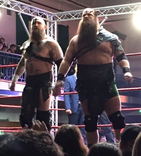 Picture of The Viking Raiders