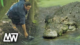Picture of Matt Wright