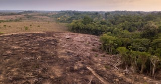Picture of deforestation of the Amazon Rainforest