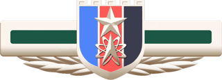 Picture of People's Liberation Army Strategic Support Force