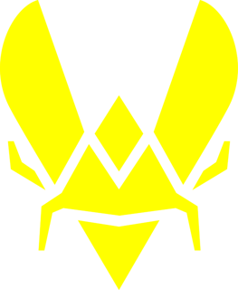 Picture of Team Vitality