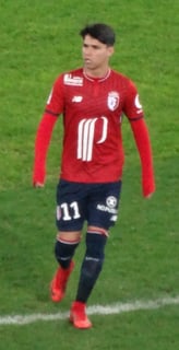 Picture of Luiz Araújo