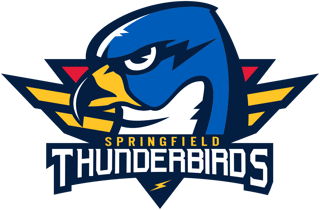 Picture of Springfield Thunderbirds