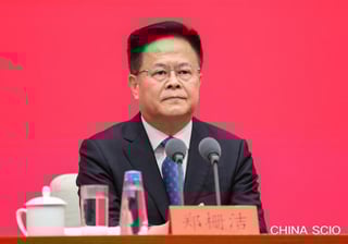 Picture of Zheng Shanjie