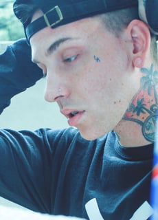 Picture of blackbear