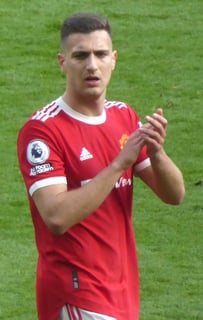 Picture of Diogo Dalot