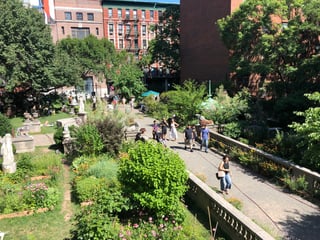 Picture of Elizabeth Street Garden