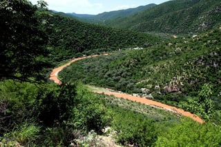 Picture of Bacanuchi