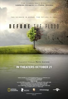 Picture of Before the Flood