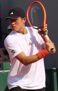 Picture of Wu Yibing
