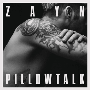 Picture of Pillowtalk