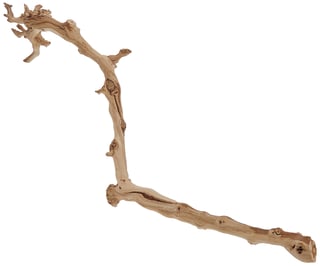 Picture of Branch