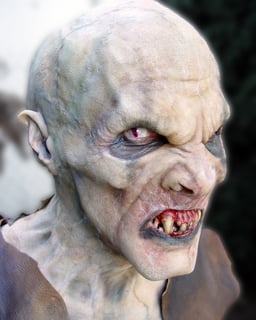 Picture of Turok-Han