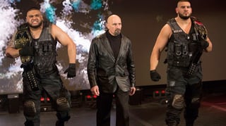 Picture of The Authors of Pain
