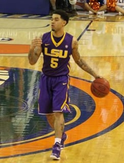 Picture of Josh Gray