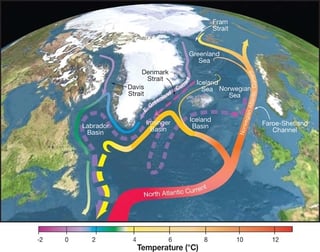 Picture of Atlantic meridional overturning circulation