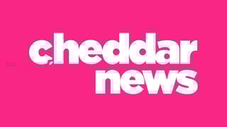 Picture of Cheddar