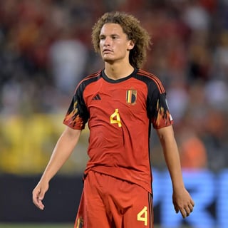 Picture of Wout Faes
