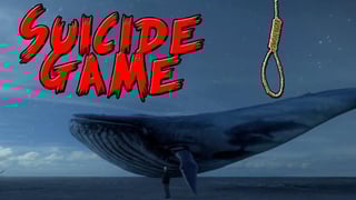 Picture of Blue Whale Game