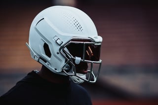 Picture of VICIS