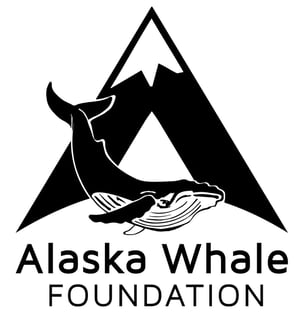 Picture of Alaska Whale Foundation