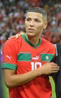 Picture of Amine Harit