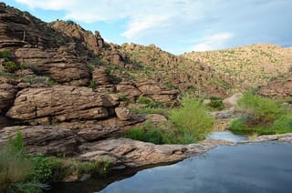 Picture of Oak Flat