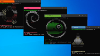 Picture of Windows Subsystem for Linux