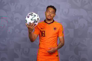 Picture of Donyell Malen