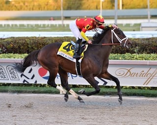 Picture of Pegasus World Cup Invitational Stakes
