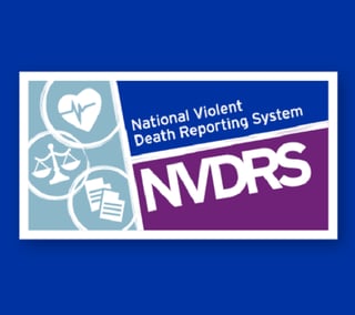 Picture of National Violent Death Reporting System