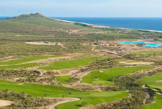 Picture of El Cardonal