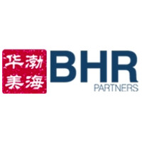 Picture of BHR Partners