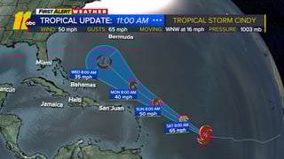 Picture of Tropical Storm Cindy