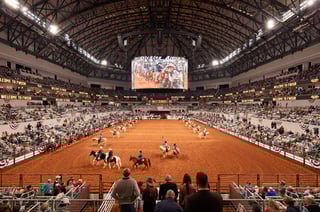 Picture of Dickies Arena