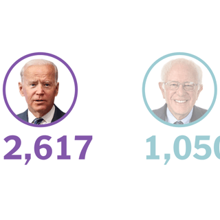 Picture of 2020 Democratic Party presidential primaries