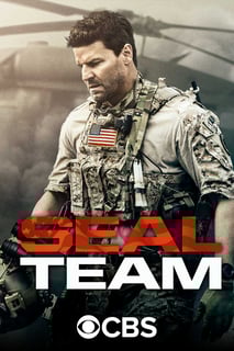 Picture of SEAL Team