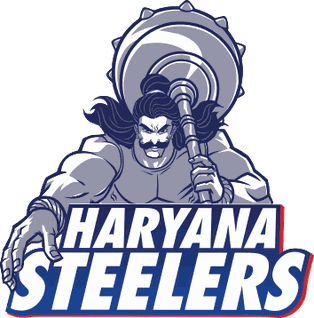 Picture of Haryana Steelers