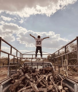Picture of iPhone Photography Awards