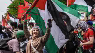 Picture of Free Palestine Movement