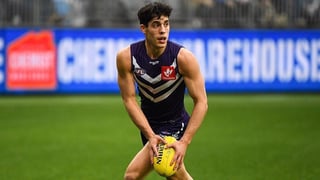 Picture of Adam Cerra