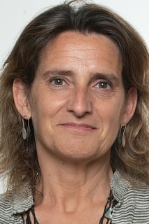 Picture of Teresa Ribera
