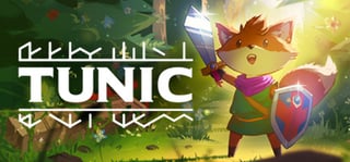 Picture of Tunic