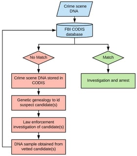 Picture of Investigative genetic genealogy