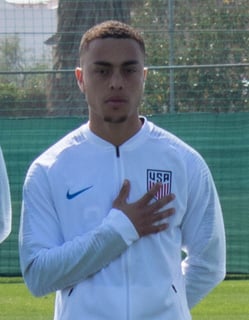 Picture of Sergiño Dest