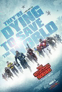 Picture of The Suicide Squad