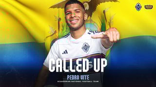 Picture of Pedro Vite