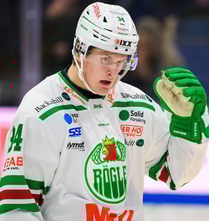 Picture of Adam Edström