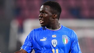 Picture of Wilfried Gnonto