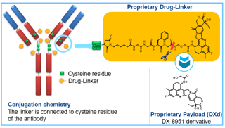 Picture of Trastuzumab deruxtecan